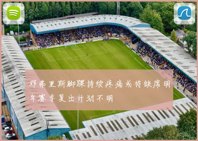 邓弗里斯脚踝持续疼痛或将缺席明年赛季复出计划不明