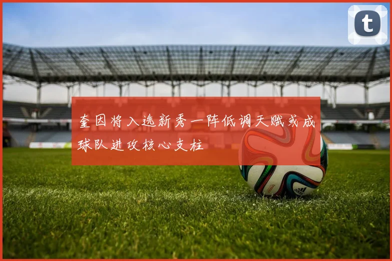 奎因将入选新秀一阵低调天赋或成球队进攻核心支柱