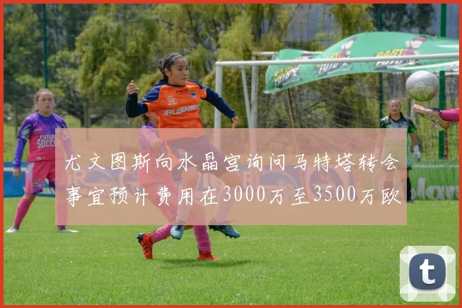 尤文图斯向水晶宫询问马特塔转会事宜预计费用在3000万至3500万欧元之间