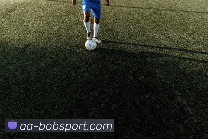 BOB足球平台生态图